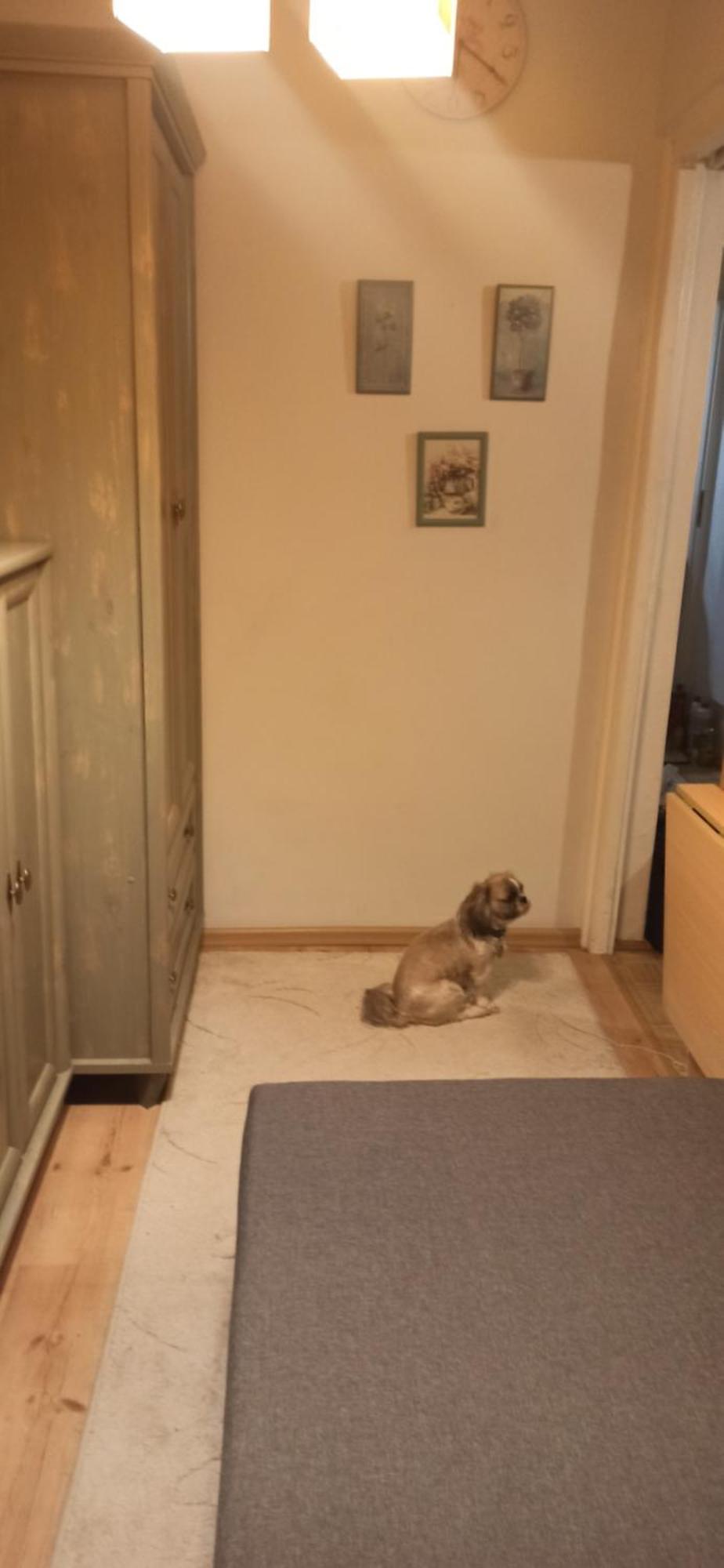 Appartamento Cichy Zakatek Kołobrzeg Esterno foto